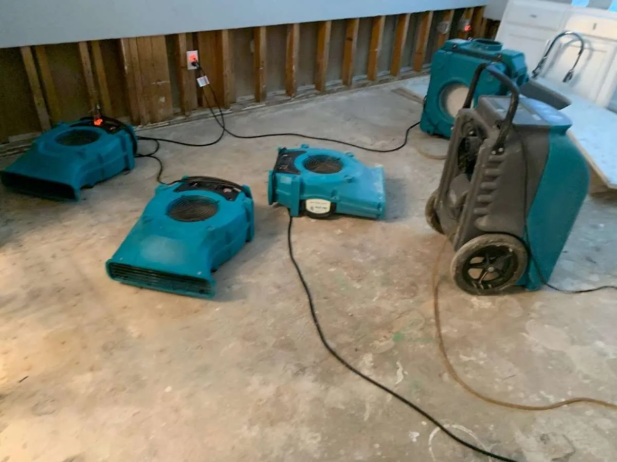 Commercial Water Damage Restoration in Gonzalez, FL